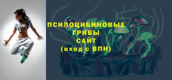 apvp Новодвинск